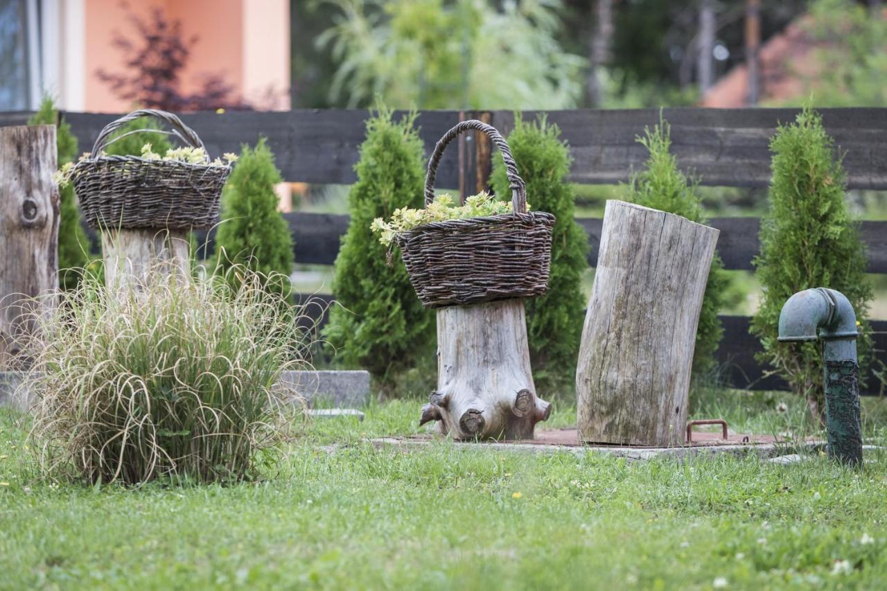 Plitvička Jezera Cozy House Aniaヴィラ エクステリア 写真