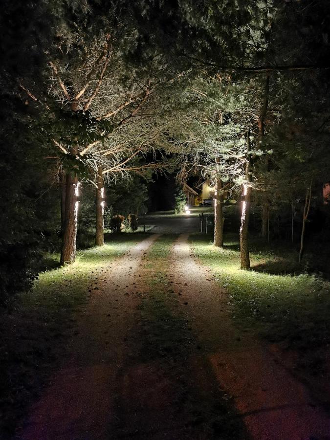Plitvička Jezera Cozy House Aniaヴィラ エクステリア 写真